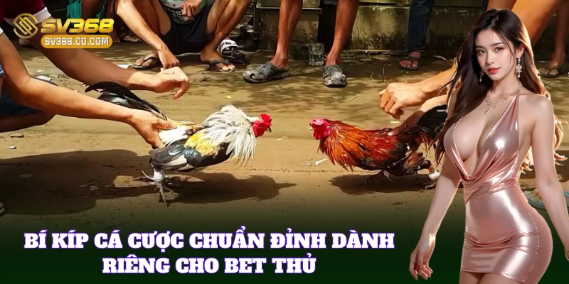 Luật Chơi Đá Gà Online SV368: Nắm Kỹ Trước Khi Vào Trường Gà