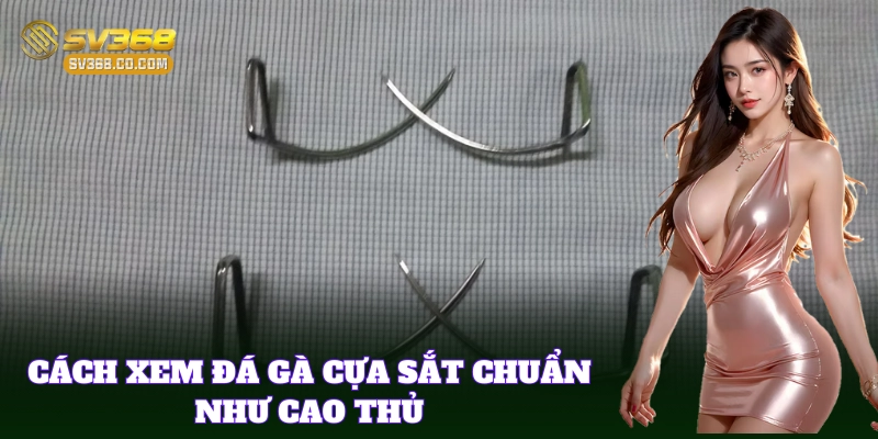 Cách Xem Đá Gà Cựa Sắt – Kinh Nghiệm Đọc Trận Đá Gà Chuẩn