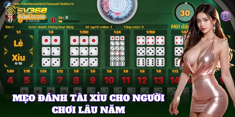 Các Mẹo Đánh Tài Xỉu chuẩn xác từng phiên chơi